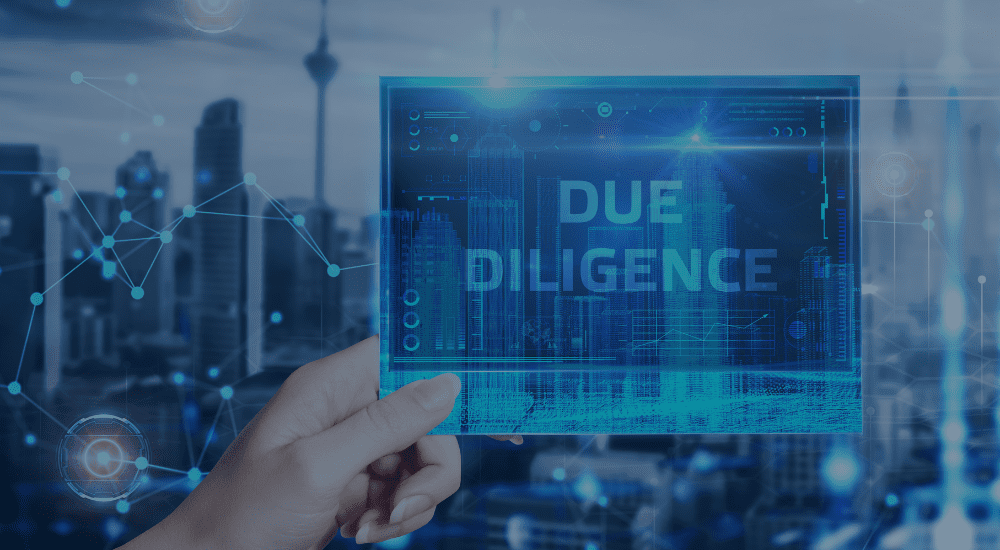 M&A Support Services